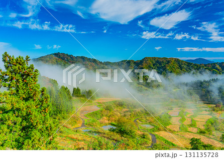 【新潟県】朝霧が発生した秋の星峠の棚田 131135728