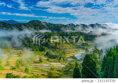 【新潟県】朝霧が発生した秋の星峠の棚田 131135729