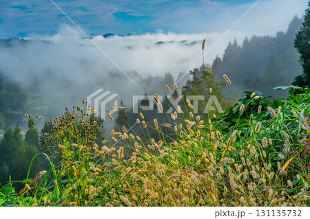 【新潟県】朝霧が発生した秋の星峠の棚田 131135732