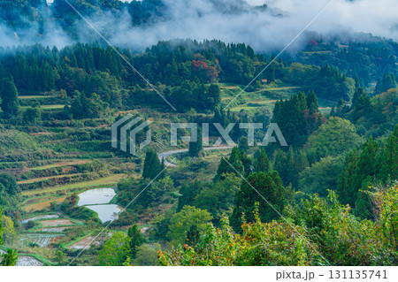 【新潟県】朝霧が発生した秋の星峠の棚田 131135741