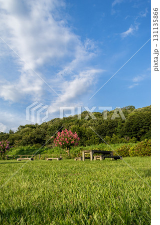 爽やかな青空と新緑 131135866