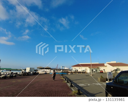 石垣島 離島ターミナル 沖縄 八重山 石垣島 離島ターミナル 沖縄 八重山 131135981
