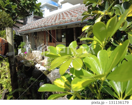 石垣島　民家　八重山　沖縄 131136179