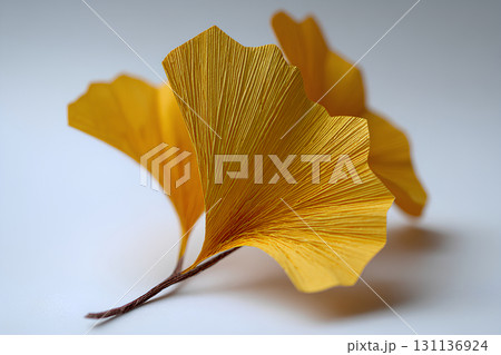 ペーパークラフト。銀杏の美しいテクスチャー 131136924