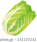 切り絵風の白菜 切り絵風の白菜 131137232