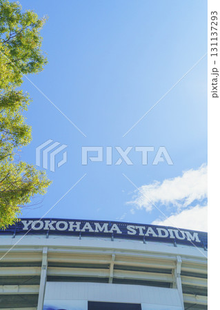 【神奈川県横浜市】横浜スタジアム・横浜公園 131137293