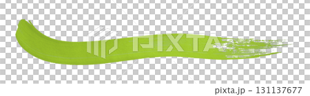 green watercolor background. Artistic hand paint. Isolated on transparent background. 131137677