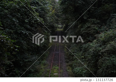 山間部の芸備線の線路 131137726