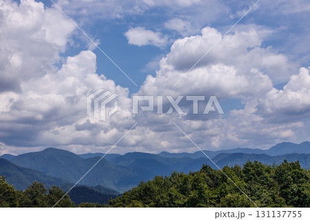 福島県三ノ倉高原の夏の爽やかな風景 福島県三ノ倉高原の夏の爽やかな風景 131137755