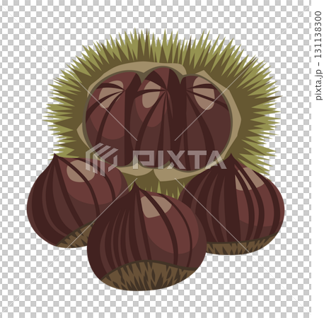 栗（いが栗・むき栗）のイラスト／秋の味覚（主線なし） 131138300