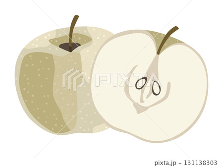 和梨(日本梨)のイラスト/秋の果物(主線なし) 和梨(日本梨)のイラスト/秋の果物(主線なし) 131138303