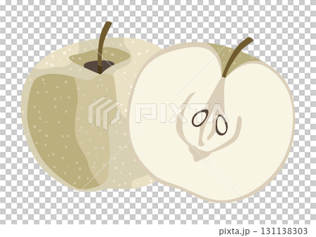 和梨(日本梨)のイラスト/秋の果物(主線なし) 和梨(日本梨)のイラスト/秋の果物(主線なし) 131138303