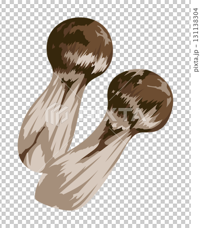松茸插圖/秋香菇（無主線） 131138304