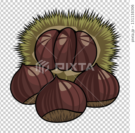 栗子(帶殼栗子)的插圖/秋天的味道(帶主線) 栗子(帶殼栗子)的插圖/秋天的味道(帶主線) 131138306