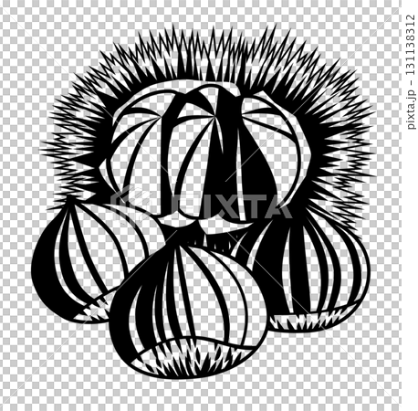 Illustration of chestnuts (burred chestnuts and peeled chestnuts) / Autumn flavors (monochrome, line drawing) Illustration of chestnuts (burred chestnuts and peeled chestnuts) / Autumn flavors (monochrome, line drawing) 131138312
