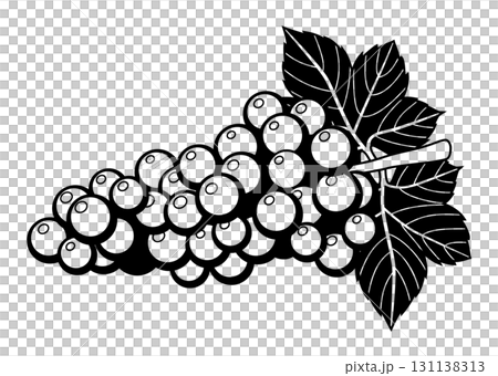 Grape (Grape) Illustration / Autumn Fruit (Monochrome, Line Drawing) Grape (Grape) Illustration / Autumn Fruit (Monochrome, Line Drawing) 131138313