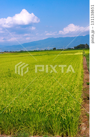 爽やかな夏空の下に広がる会津地方の田園風景 爽やかな夏空の下に広がる会津地方の田園風景 131138651