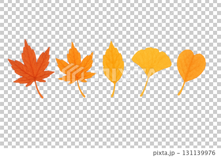 いろいろな紅葉の水彩イラスト 131139976