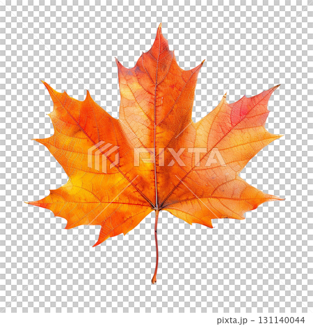 秋葉，楓葉，黃色，橙色，紅色，漸變，PNG剪輯，秋季素材 131140044