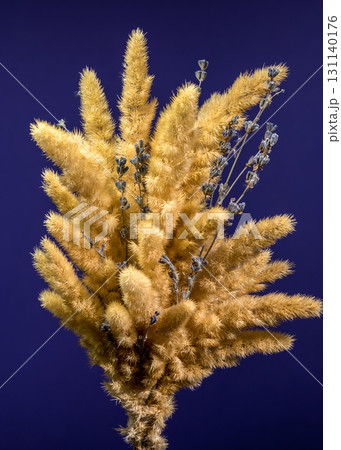 Dried Flowers and Lavender Against a Deep Blue Background 131140176