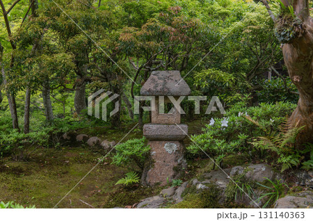 5月の依水園ー古都奈良の庭園美 131140363