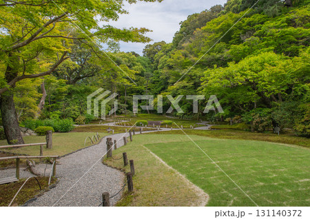 5月の依水園ー古都奈良の庭園美 131140372