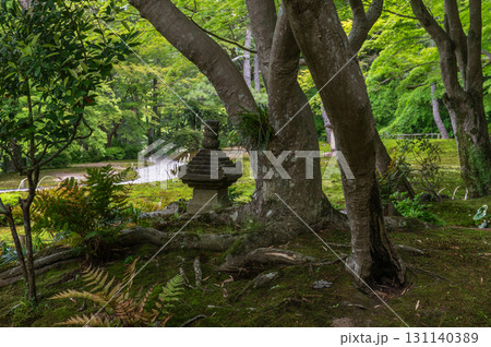 5月の依水園ー古都奈良の庭園美 5月の依水園ー古都奈良の庭園美 131140389