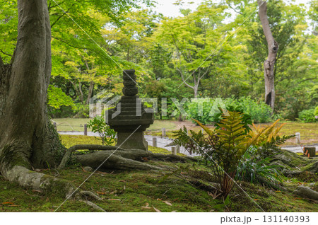 5月の依水園ー古都奈良の庭園美 5月の依水園ー古都奈良の庭園美 131140393