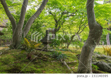 5月の依水園ー古都奈良の庭園美 131140395