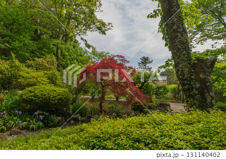 5月の依水園ー古都奈良の庭園美 131140402