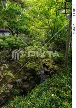 5月の依水園ー古都奈良の庭園美 5月の依水園ー古都奈良の庭園美 131140435