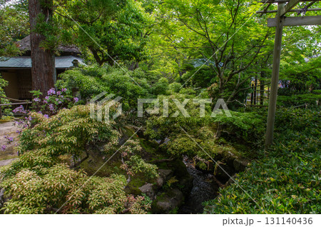 5月の依水園ー古都奈良の庭園美 5月の依水園ー古都奈良の庭園美 131140436