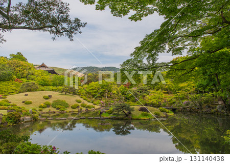 5月の依水園ー古都奈良の庭園美 5月の依水園ー古都奈良の庭園美 131140438