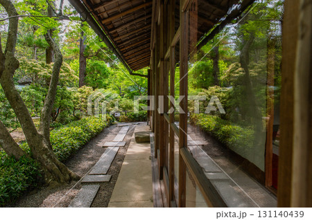 5月の依水園ー古都奈良の庭園美 131140439