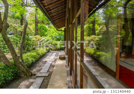 5月の依水園ー古都奈良の庭園美 5月の依水園ー古都奈良の庭園美 131140440