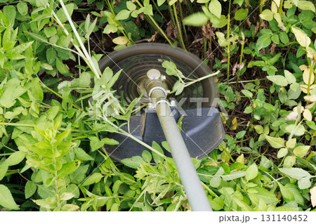 草刈り 刈払機 草刈り 刈払機 131140452