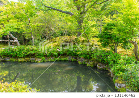 5月の依水園ー古都奈良の庭園美 131140462
