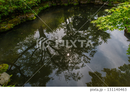 5月の依水園ー古都奈良の庭園美 131140463