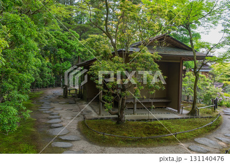 5月の依水園ー古都奈良の庭園美 131140476