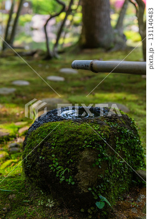 5月の依水園ー古都奈良の庭園美 131140483
