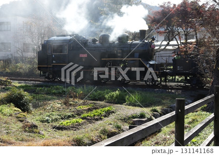 煙をあげて走る若桜駅構内のSL 131141168