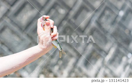 鮎 （ アユ 川魚 ）の つかみ取り の 川遊び で 自然体験 【 夏休み の 思い出 】 131141423