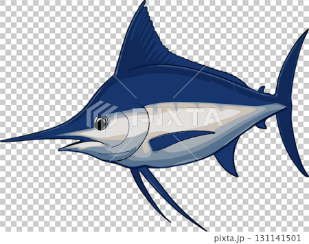 カジキマグロのイラストのイラスト カジキマグロのイラストのイラスト 131141501