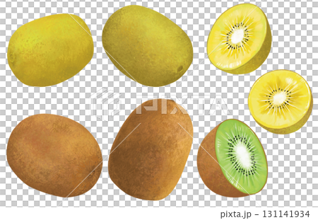 手繪獼猴桃插圖 131141934