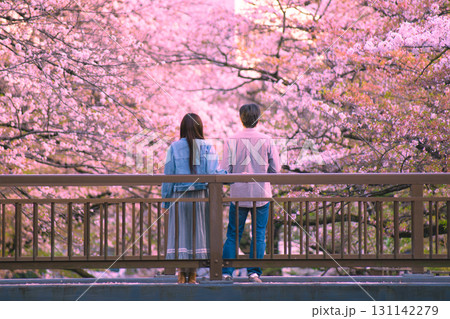 夕暮れの桜バックの橋の男女 夕暮れの桜バックの橋の男女 131142279