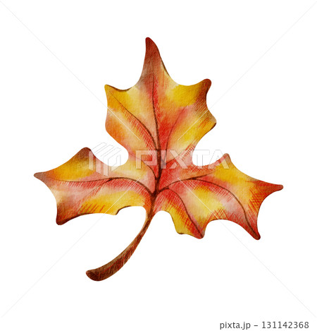 Vibrant maple leaf in autumn colors,rendered with soft watercolor washes and textured colored pencils.For seasonal designs,children’s books and nature-themed crafts.Hand-drawn illustration isolated 131142368