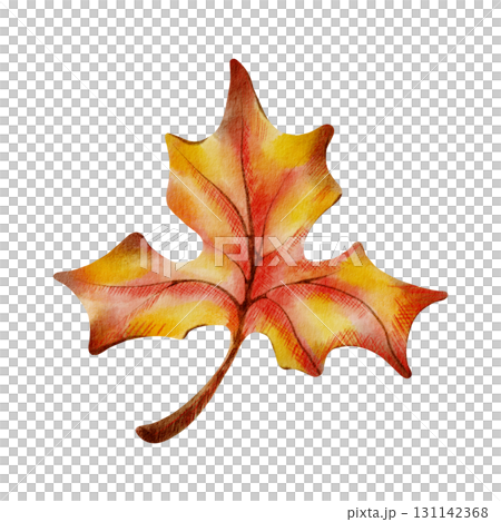 Vibrant maple leaf in autumn colors,rendered with soft watercolor washes and textured colored pencils.For seasonal designs,children’s books and nature-themed crafts.Hand-drawn illustration isolated 131142368