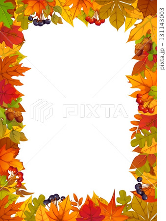 Autumn frame vector background with orange red fall leaves, berries and acorns border. Autumn season leaves nature frame vector template for Thanksgiving Day, fall promotion and festive invitation 131143003
