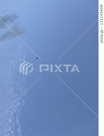 青空に浮かぶうろこ雲(少し)と鳥/The sky 131143409