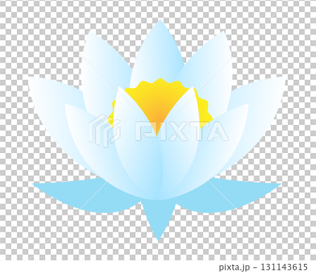 白い睡蓮のベクターイラスト素材 白い睡蓮のベクターイラスト素材 131143615